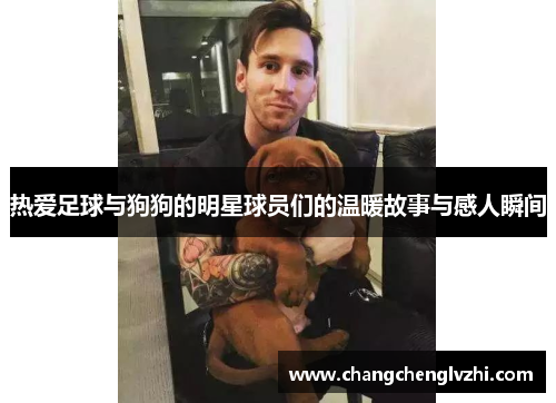 热爱足球与狗狗的明星球员们的温暖故事与感人瞬间