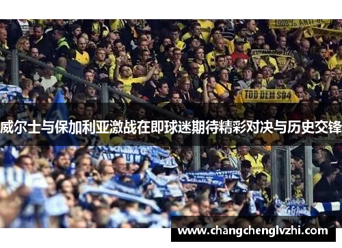威尔士与保加利亚激战在即球迷期待精彩对决与历史交锋